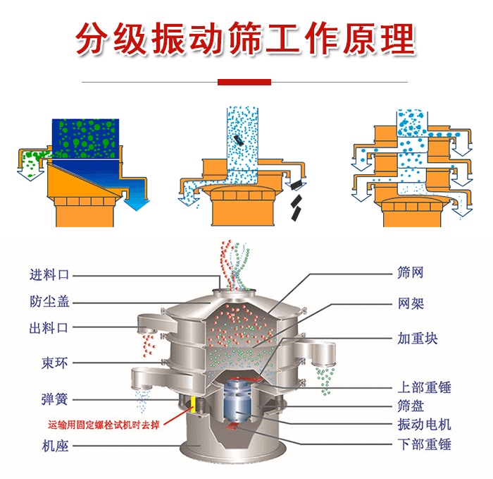 分級振動篩內(nèi)部結(jié)構(gòu)：進(jìn)料口，防塵蓋，出料口，束環(huán)，彈簧，機座，篩網(wǎng)，網(wǎng)架，上部重錘，振動電機，下部重錘。